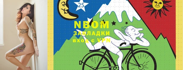 бошки Алексин