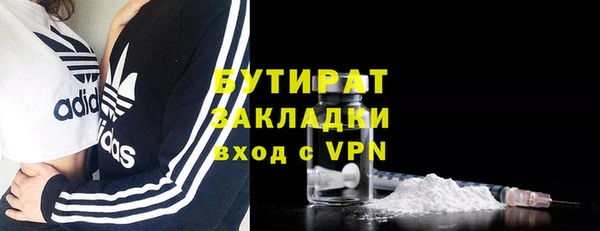шишки Белокуриха