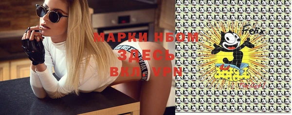 бошки Алексин