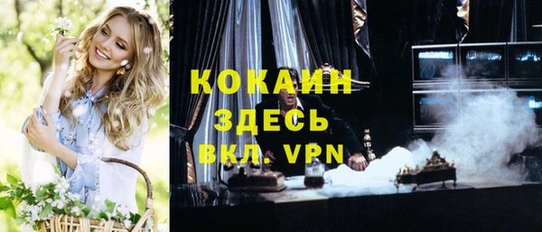 бошки Алексин