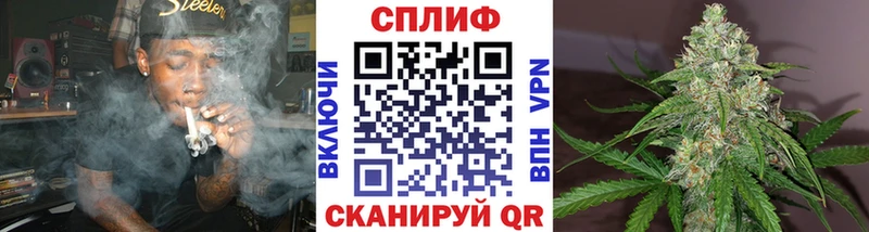 Шишки марихуана индика Бологое